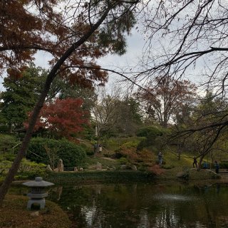 达拉斯周边游｜植物公园+日本公园...