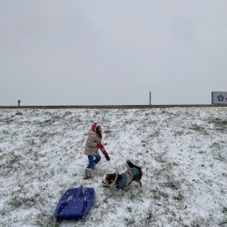Lucky 狗生的第一次玩雪...