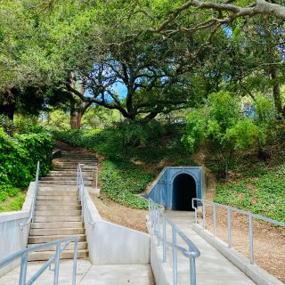 Berkeley山上阶梯公园｜隧道｜巨型...
