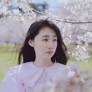 ootd｜春日樱花序曲🌸晴天轻胶片滤镜...