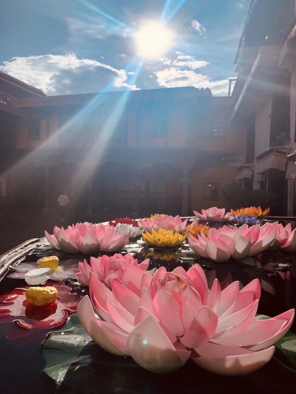 西藏最不缺的就是美景...