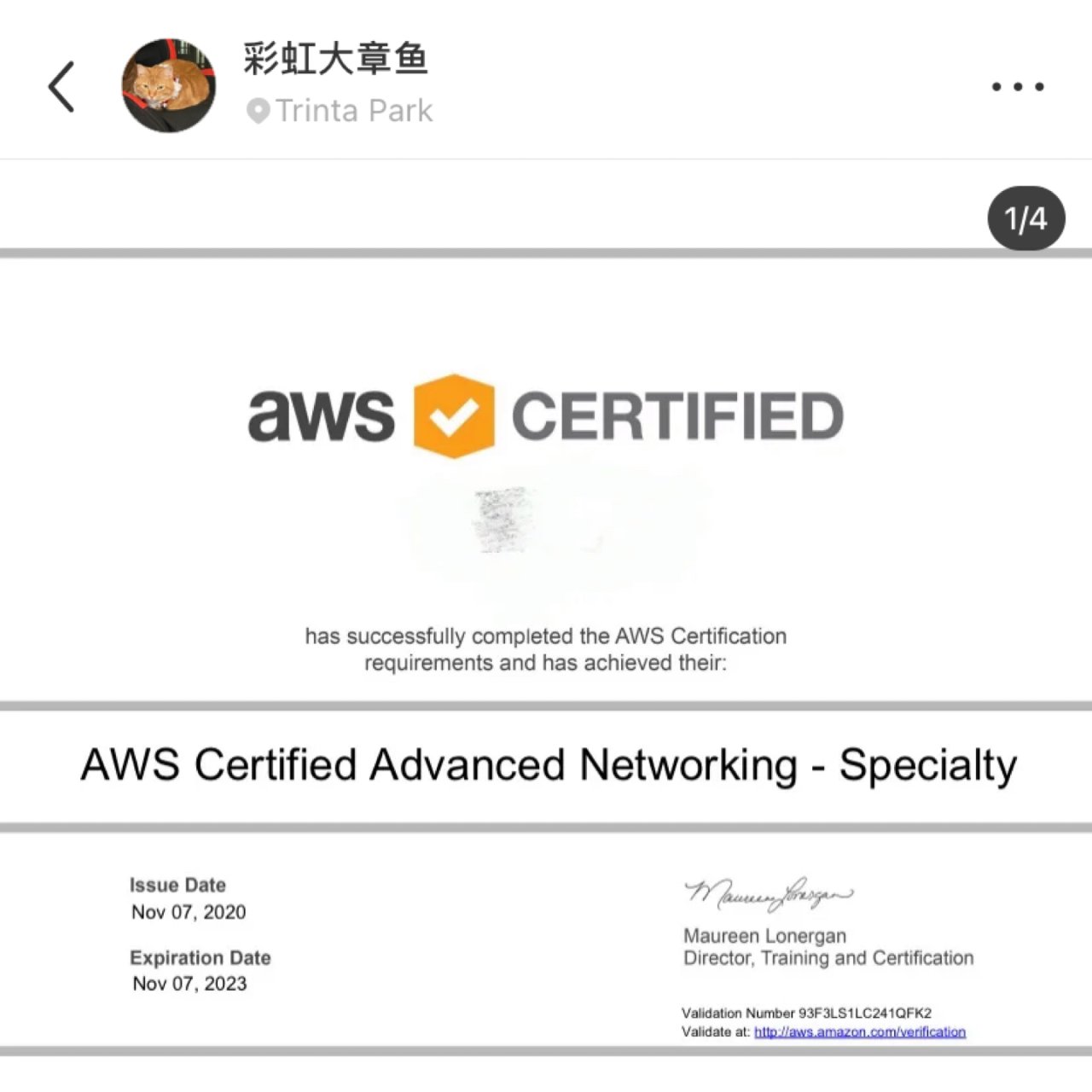 北美程序员证书AWS Advanced ...