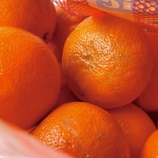 WF有机橘子，过年就要“桔”祥如意！...