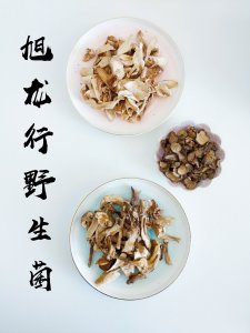 【微众测】中式、西式料理都可以驾驭的旭龙行野生菇