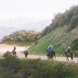 换种方式游LA：骑马上好莱坞山看日落...