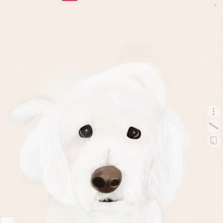 iPad画画｜狗狗肖像...