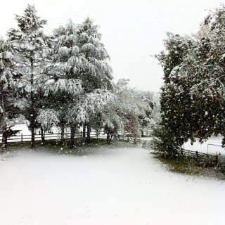 ❄️雪景❄️