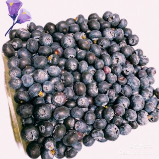 Costco的大蓝莓🫐...