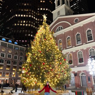 🎄🦞今年波士顿的圣诞树比往年的都要小一些...
