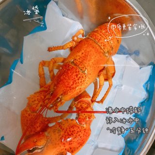 宅家烹饪日记👩🏻‍🍳芝士焗龙虾...