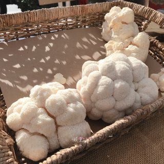 懒兔月记｜12月农夫市场有蘑菇😍猴头菇茶...