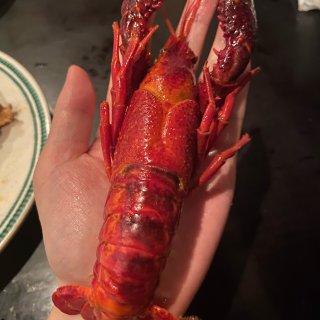 Baltimore地区推荐一个吃小龙虾的...