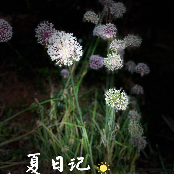 晒货图片