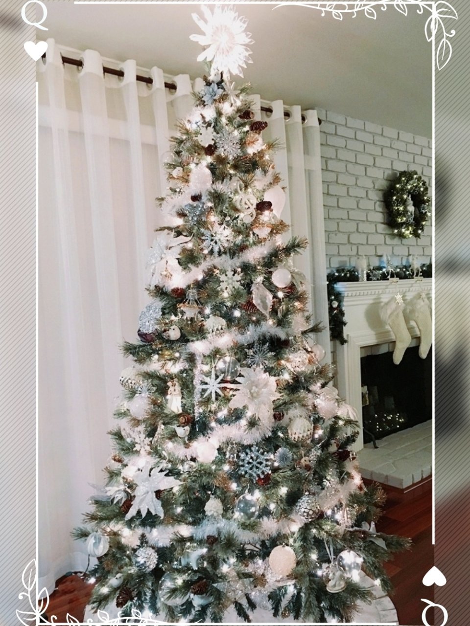 今年的圣诞树——“冰雪世界”（带引号的）...