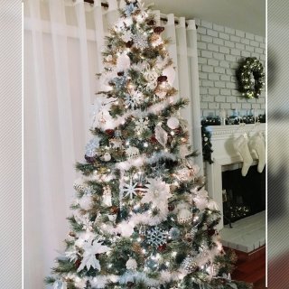 今年的圣诞树——“冰雪世界”（带引号的）...