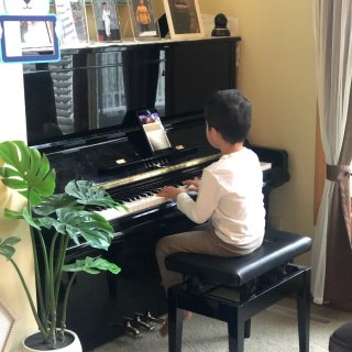 vip钢琴陪练有感↣...