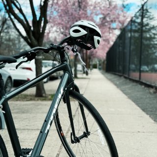 🚴骑着单车去踏春🚴...