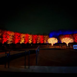 芝加哥植物园主题灯展｜light esc...