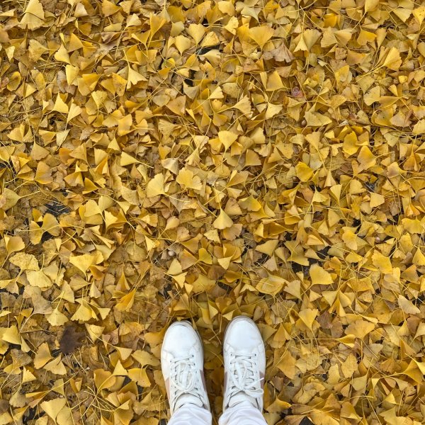 晒货图片