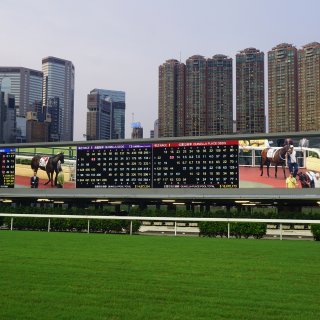 香港跑马场🐎｜最高级的市井玩法...