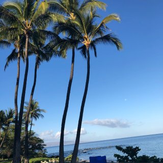 亲子游|Maui岛风景如画，体验Anda...