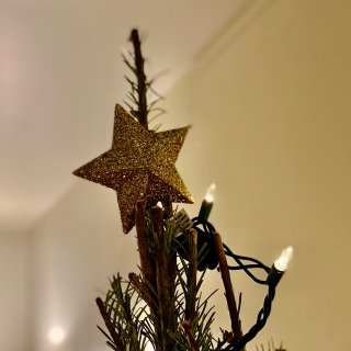 圣诞节🎄｜今天买了圣诞树啦～节日气氛up...