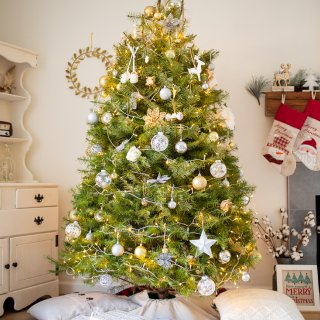 如何回收圣诞树｜送给第一次买真树的你...