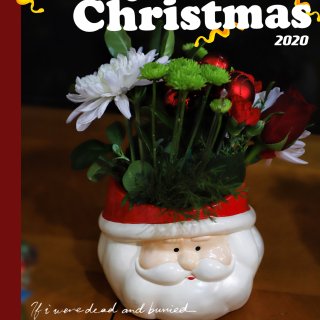 【🎄圣诞装饰】丨值得拥有的圣诞老人小盆栽...