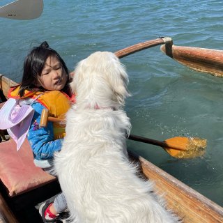 湾区周末带狗狗好去处—带上你的狗狗来划船...
