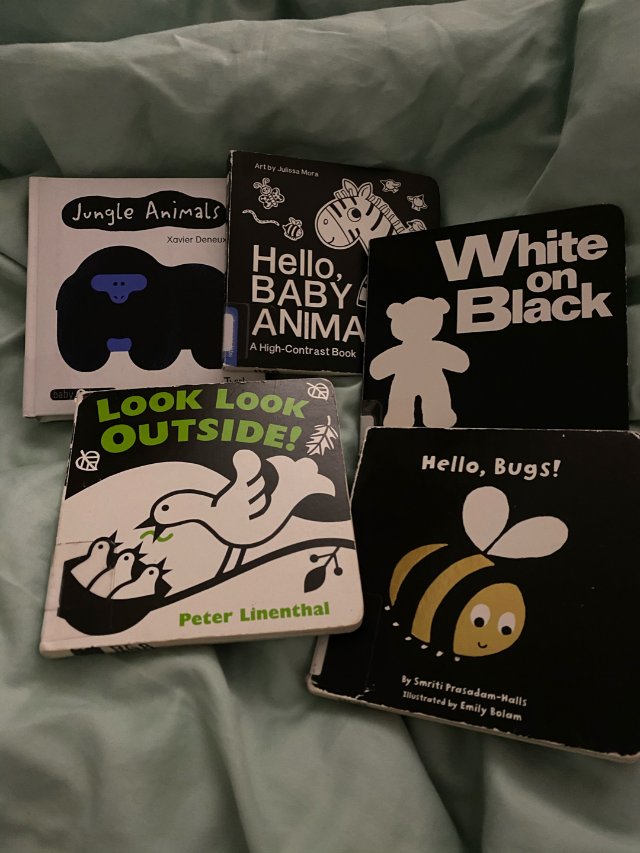 第一次去图书馆