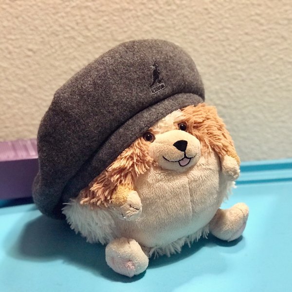 晒货图片