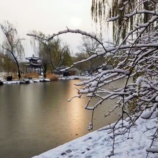【雪落成诗，洁白如玉的北京城】...