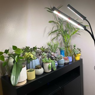 植物灯｜完美解决窒内植物需要光的需求👍...