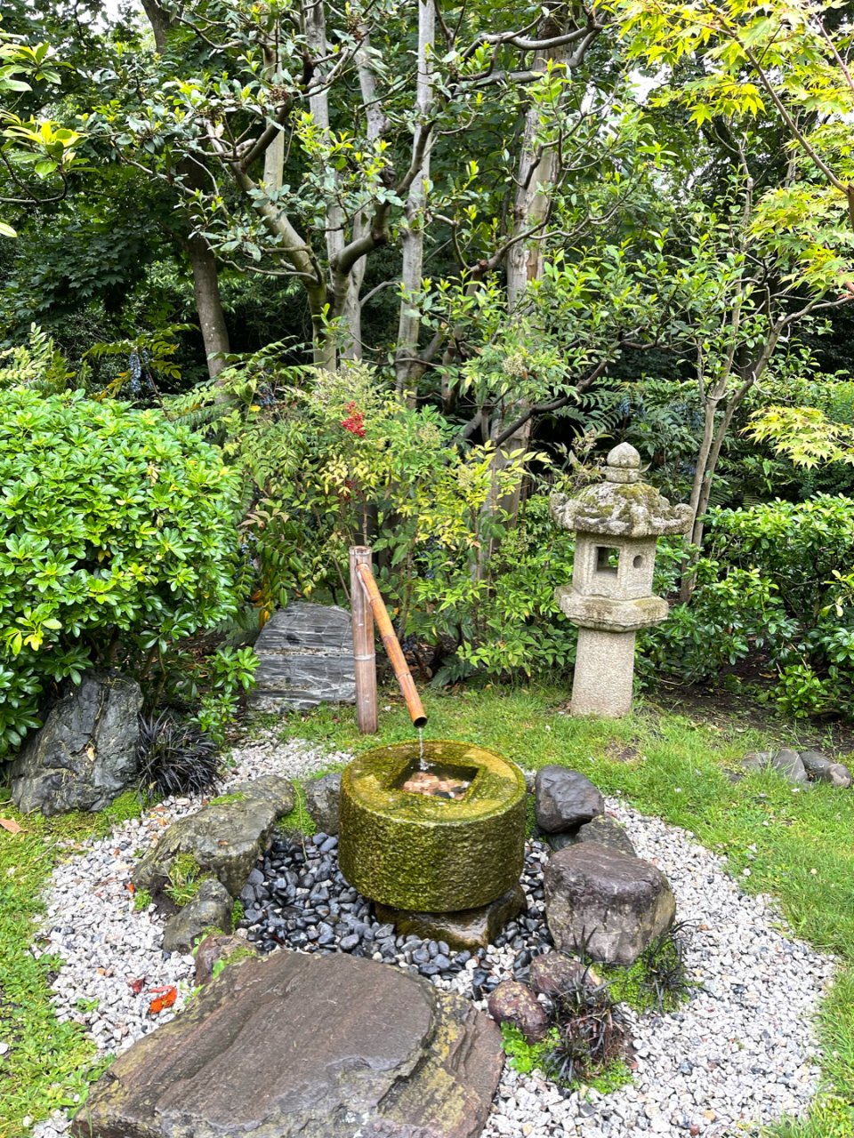 伦敦隐藏的超精致小花园：Kyoto Ga...