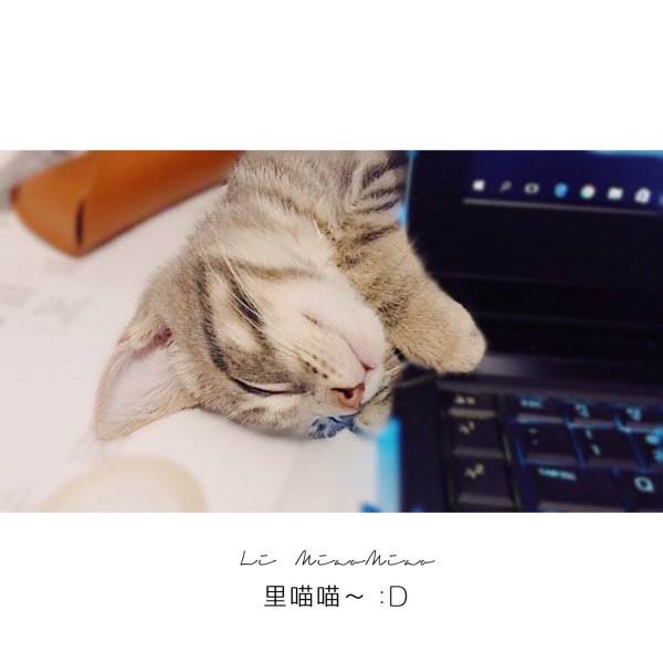 晒货图片