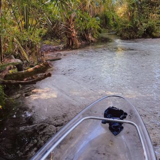 Kayaking 初体验。🐳...