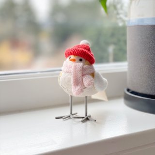 可爱到犯规的圣诞节小鸟摆设品😍🥰...