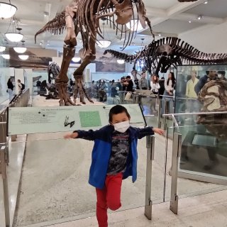 秋季纽约行–美国自然历史博物馆恐龙展...