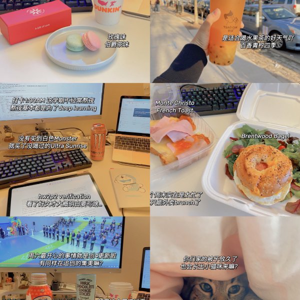 晒货图片
