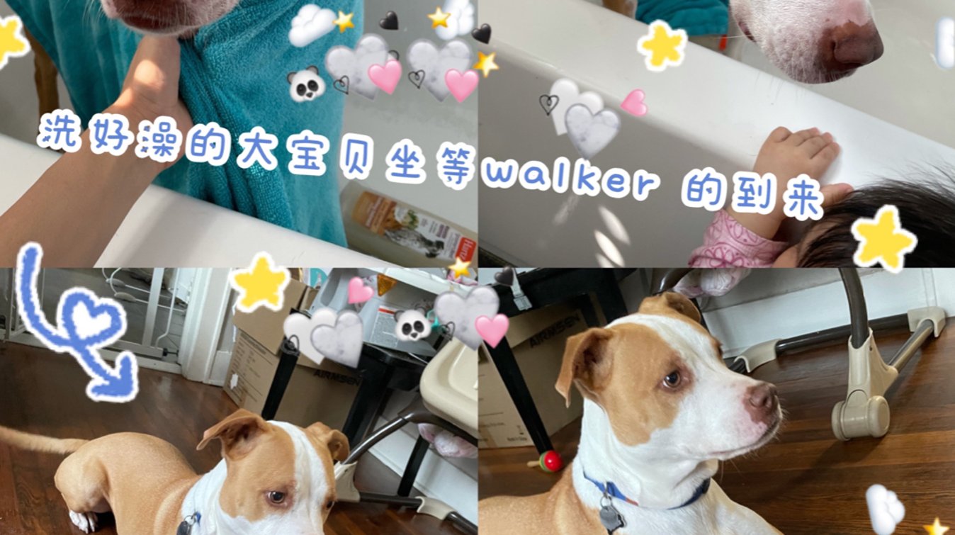 Rover ❤️给萌宠们额外的宠爱❤️🐶🐱