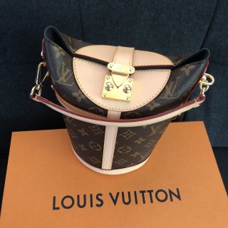 Louis Vuitton 路易·威登,薯条包,手拿包