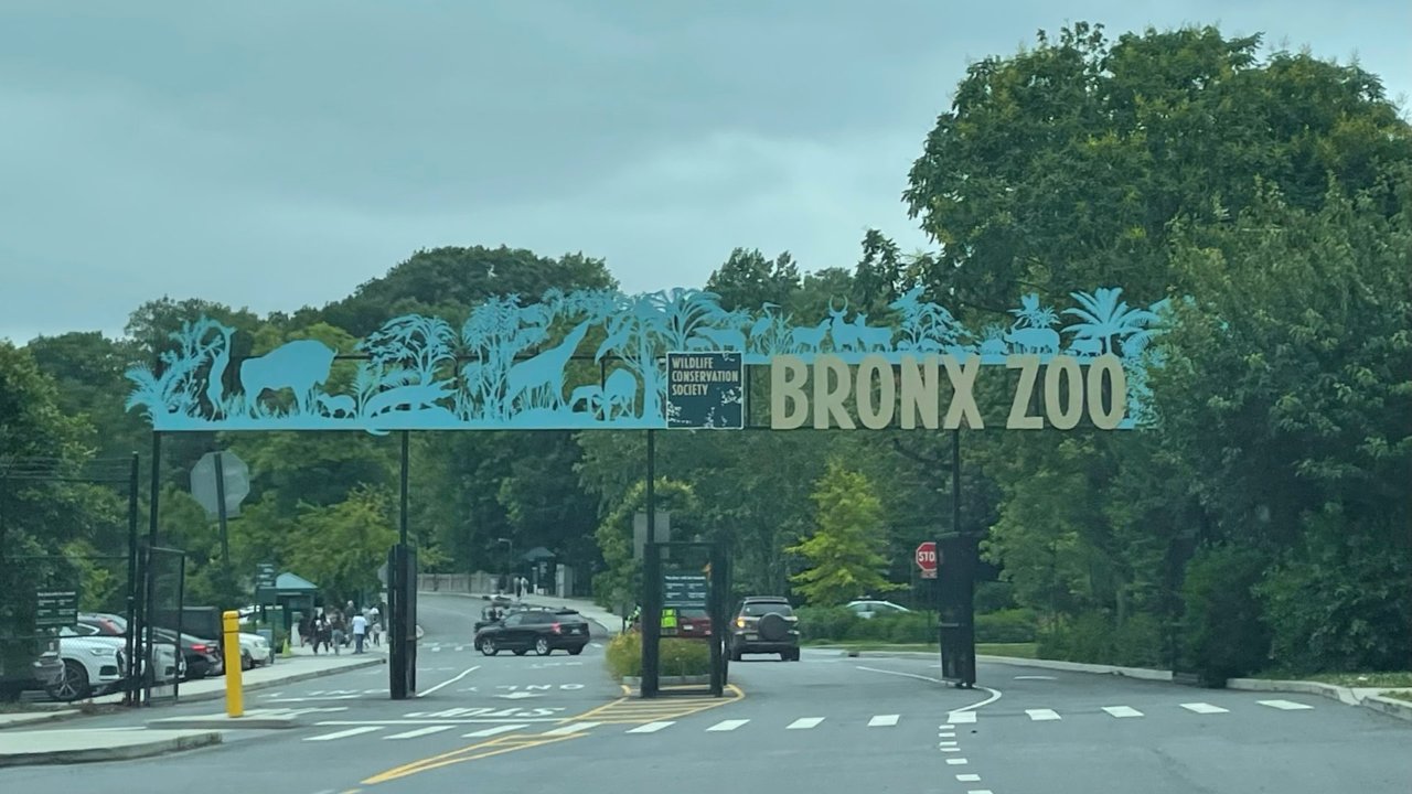 紐約周邊遊｜Bronx Zoo · 星期三免費門票淺遊布朗克斯動物園