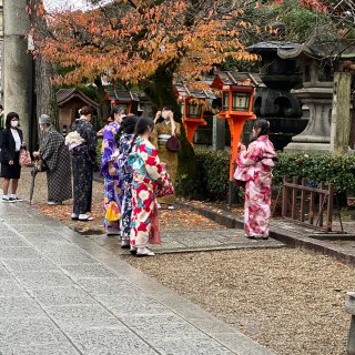 京都八坂神社⛩️有幸观赏到传统艺妓表演...
