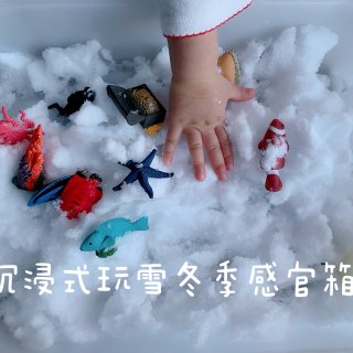 DIY早教❄️冬季感官箱❄️沉浸式玩雪...