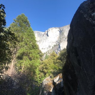 #去娜玩了#小长假去Yosemite r...