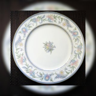 dinner plate,10吋盘,大盘