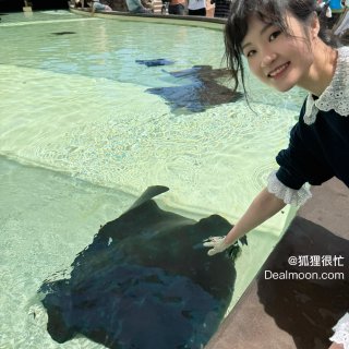 【Seaworld San Diego】...