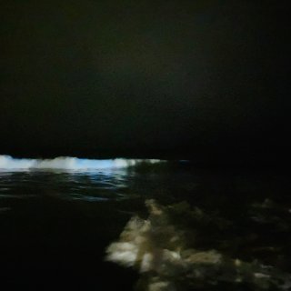 夜深人静去看发光的大海｜newport ...