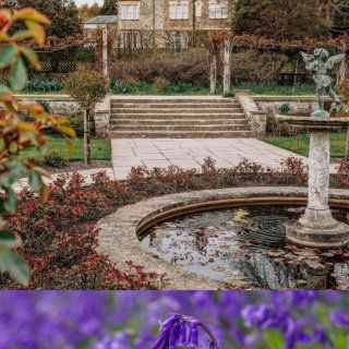 伦敦周边小众游｜蓝铃花海野餐拍照宝藏花园...