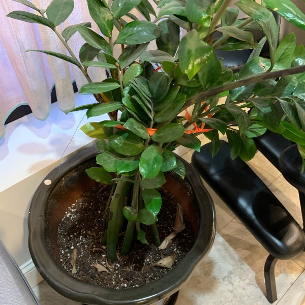 晒货图片